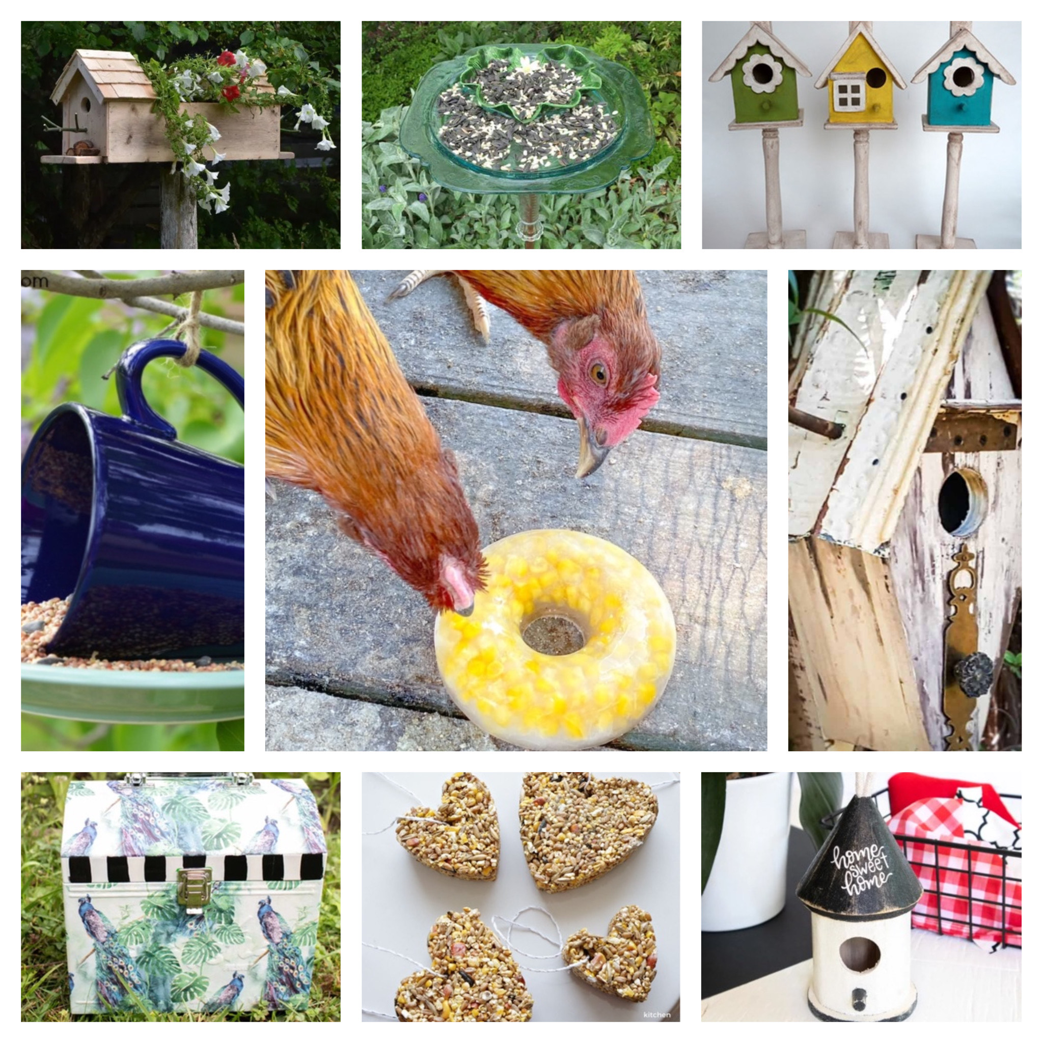 13 Easy DIY Bird Seed Projects